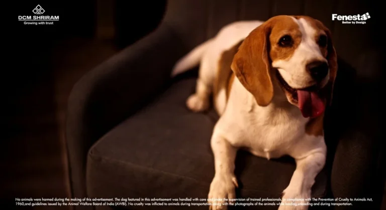 Fenesta's New Campaign Film, "Fine. Finer. Fenesta," Adds a Bit of Humor This Monsoon