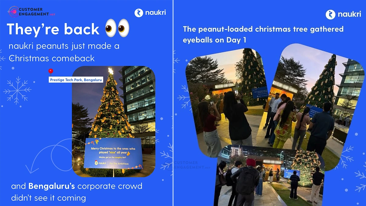 Naukri Christmas installation appraisal season