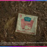 Mother Dairy The Pouch That Found Its Way Home